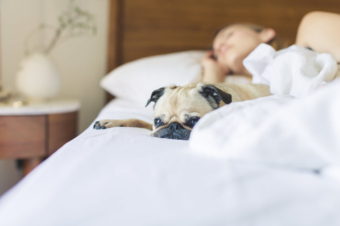 Morgenroutine für mehr Energie: So startest du erholt in den Tag