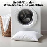 Eve Textile filling and inner cushions 